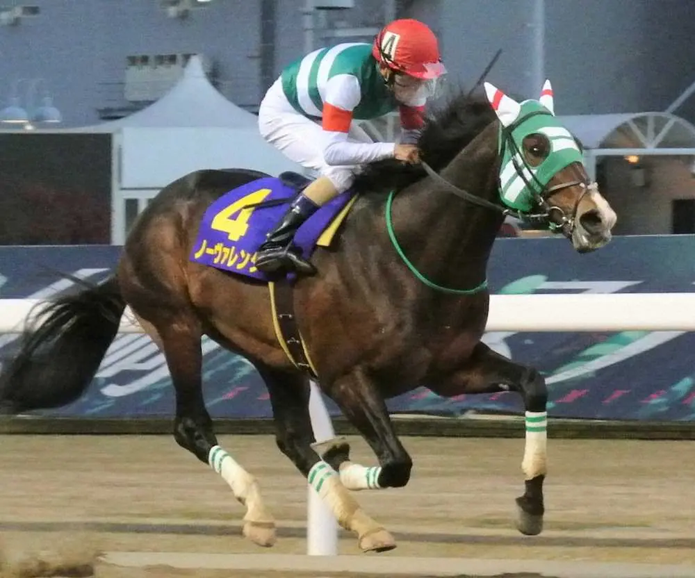 【画像・写真】報知オールスターCを快勝したノーヴァレンダ。