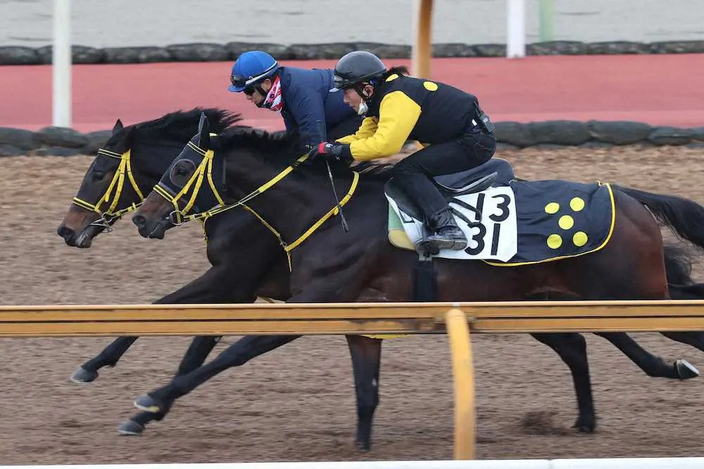 坂井瑠星が騎乗し、古馬に先着したモズゴールドバレル（左）