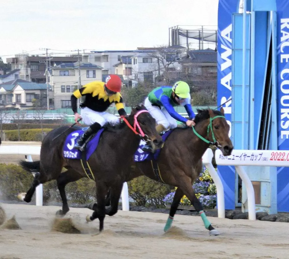 【画像・写真】【浦和・ニューイヤーC】ミゲル重賞初制覇！道中で末脚温存