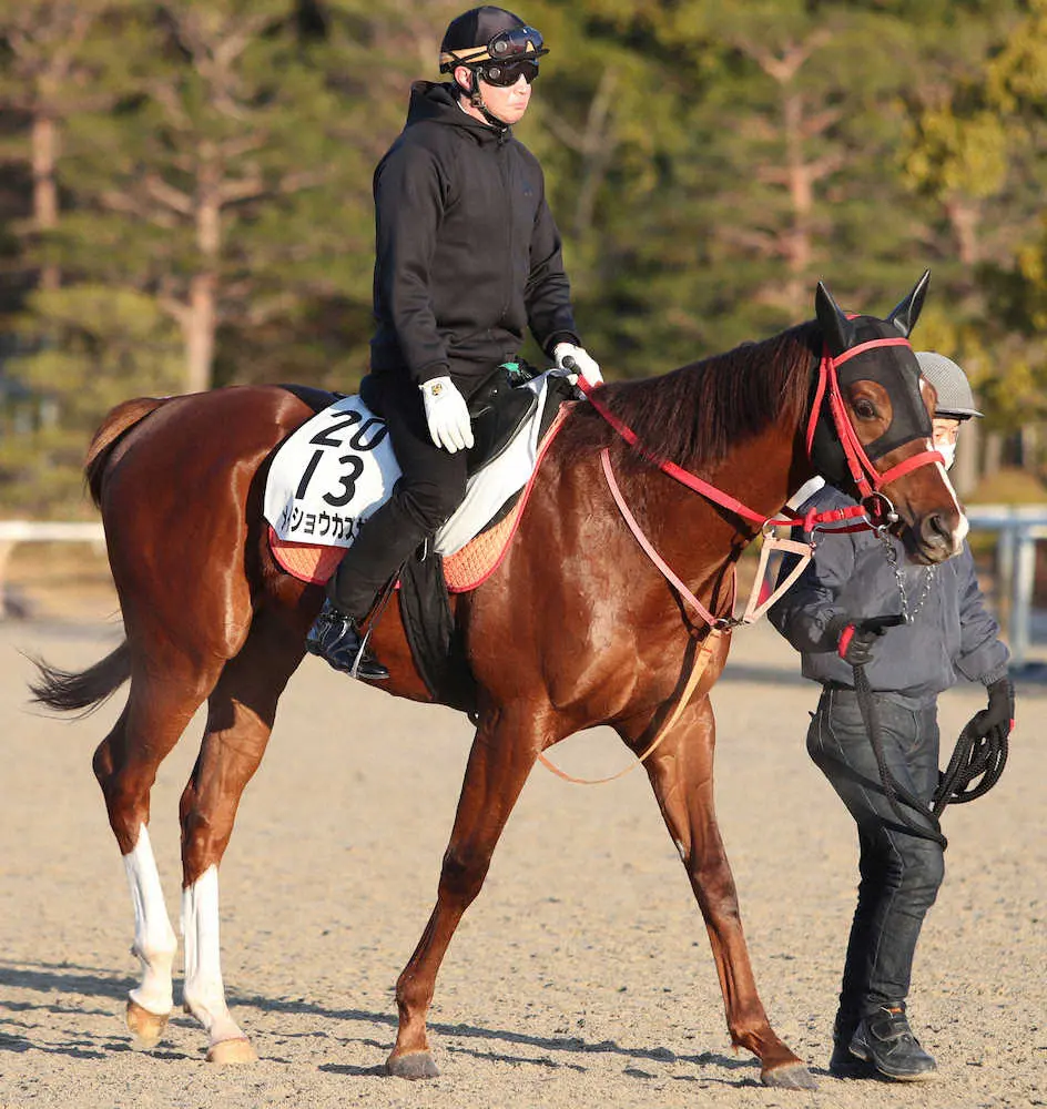 【画像・写真】【佐賀競馬8R　第49回佐賀記念】メイショウカズサ態勢整った
