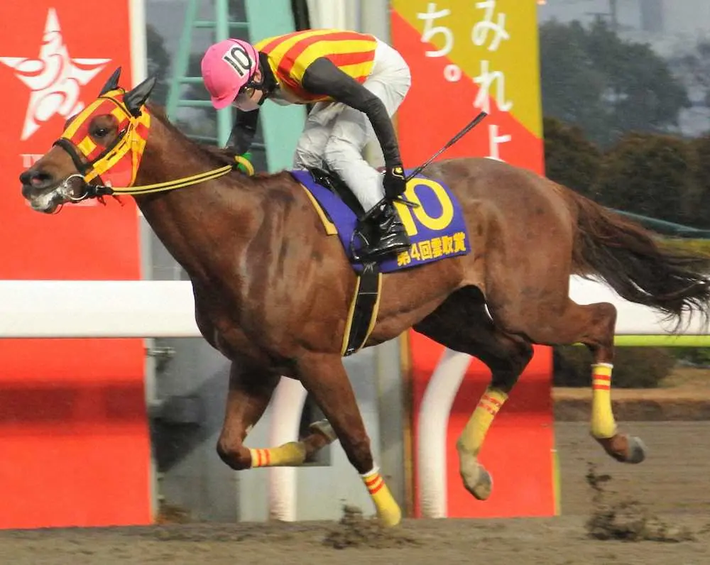 【画像・写真】【大井・雲取賞】シャルフジン逃げ切りV　御神本＆川島一師は2日連続重賞制覇