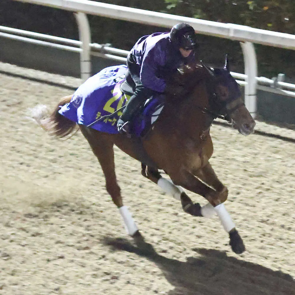 【画像・写真】【サウジC国内最終追い】テーオーケインズ　馬なり1F12秒5、高柳大師「見た目にもいい動き」