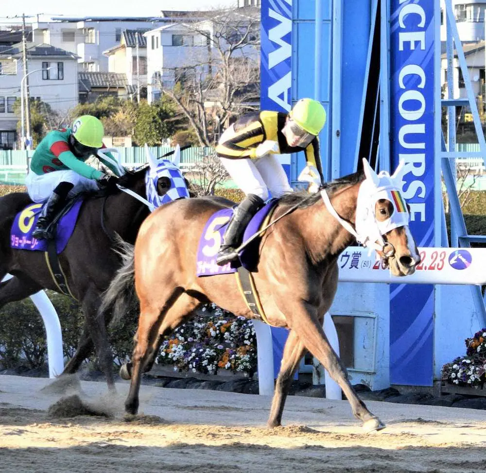 【画像・写真】【浦和・ユングフラウ賞】スティールルージュ　転入即重賞V！張田師「次は桜花賞一本」