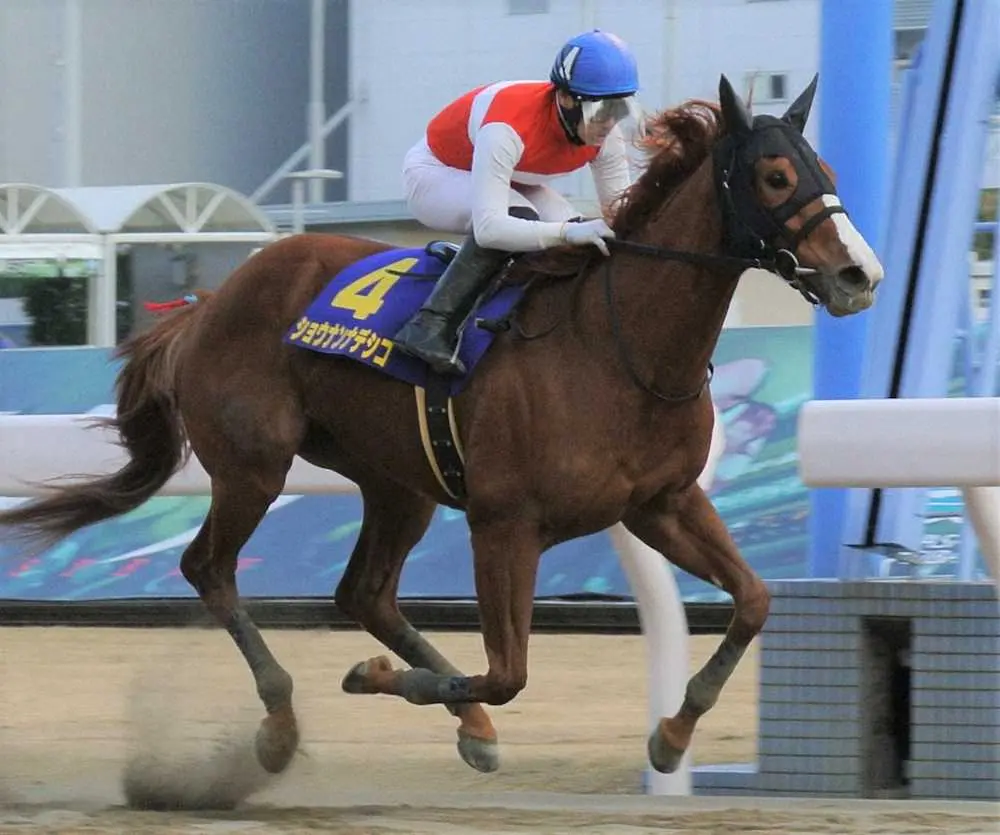 【画像・写真】【川崎・エンプレス杯】ショウナンナデシコ重賞初V！進路こじ開けて差し切った