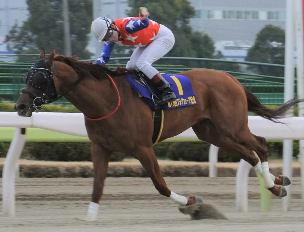 【画像・写真】【大井・フジノウェーブ記念】ルーチェドーロ重賞初制覇！御神本「先々が楽しみ」