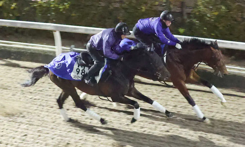 【画像・写真】【ドバイ国際競走追い】ソリストサンダー＆レイワホマレ2頭併せ　高柳大師「2頭とも順調」