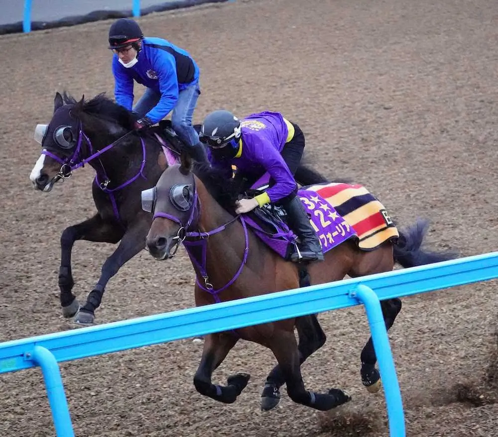 【画像・写真】【大阪杯2週前追い】エフフォーリア　始動戦へ順調、鹿戸師「現時点ではちょうどいい」