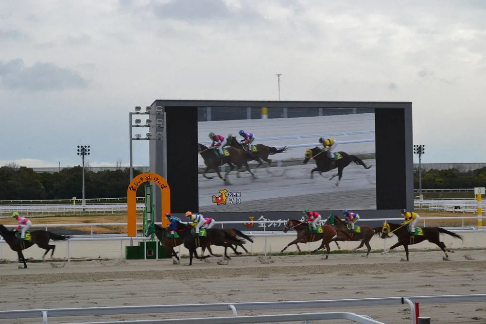 【画像・写真】名古屋競馬の新競馬場内覧会で行われた模擬レース