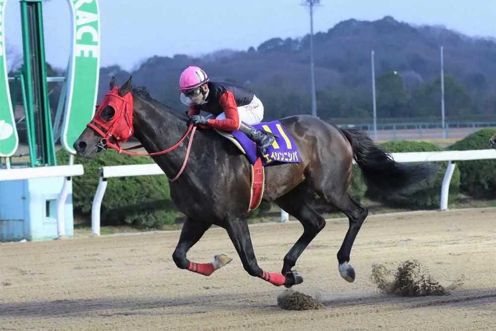 【画像・写真】【佐賀・はがくれ大賞典】27日発走　エイシンニシパ4度目Vへバク進　有力馬を紹介