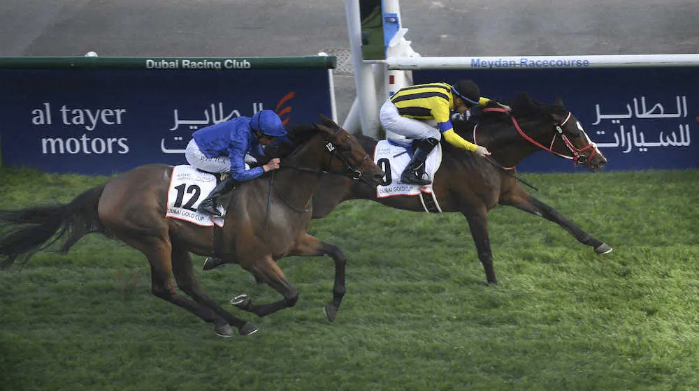 【画像・写真】【ドバイゴールドC】ステイフーリッシュ　ドバイ父子制覇！サウジに続き海外重賞連勝