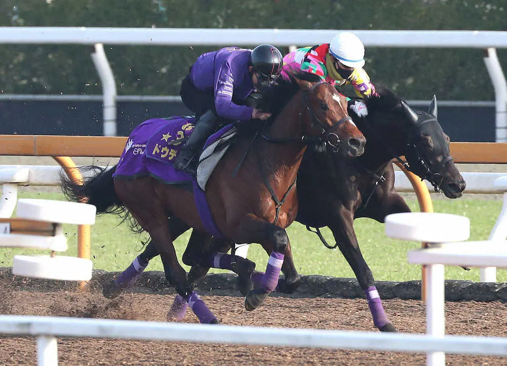 【画像・写真】【皐月賞2週前追い】ドウデュース　直線一気に加速、友道師「精神面も落ち着いている」