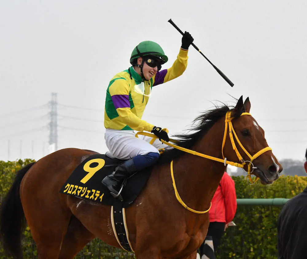 【画像・写真】【桜花賞】クロスマジェスティ　長距離輸送クリアに陣営満足「落ち着いています」