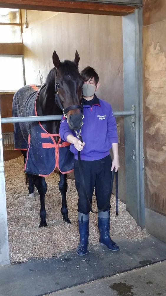 【画像・写真】大阪杯V一夜明け　ポタジェ元気いっぱい　次は宝塚記念視界