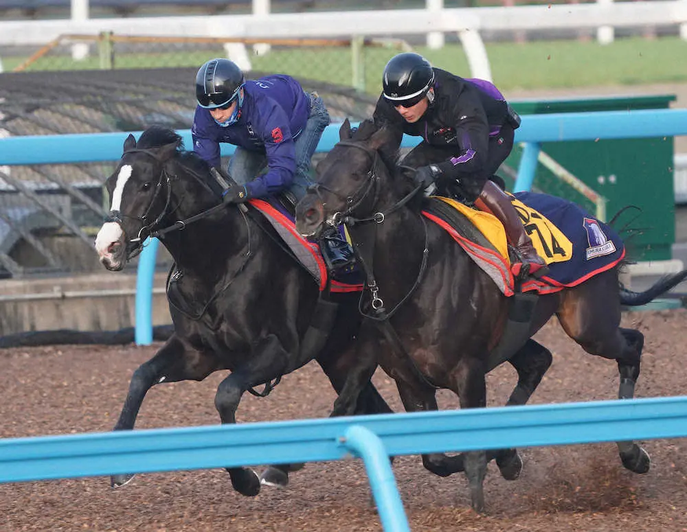 【画像・写真】【皐月賞1週前追い】イクイノックス　末脚切れ切れラスト1F11秒4、ルメールも笑顔「凄くいい動き」