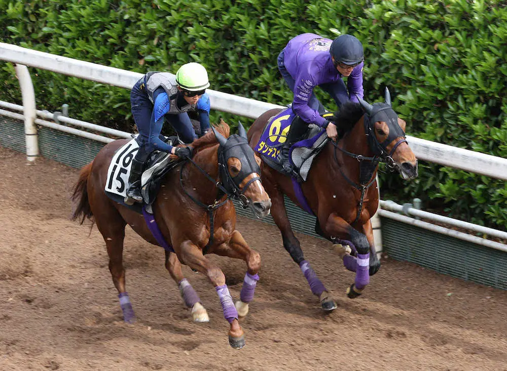 【画像・写真】坂路にて併せ馬で追い切るダンテスヴュー（右）（撮影・亀井直樹）