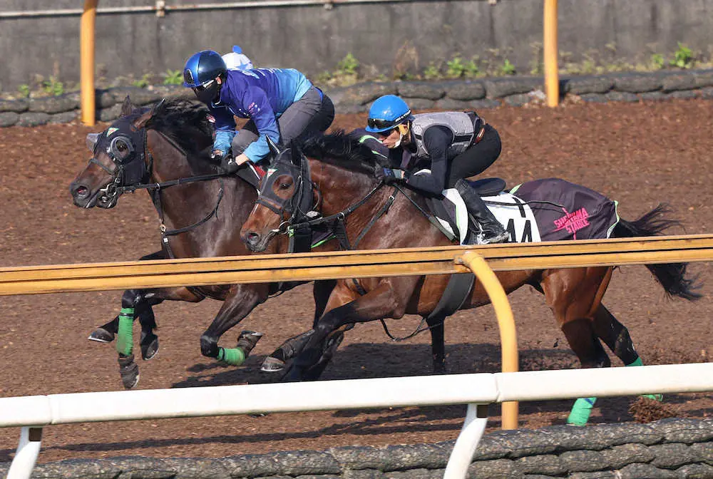 【画像・写真】【ヴィクトリアM1週前追い】デアリングタクト　軽快なステップ、松山「この馬らしさを取り戻してる」
