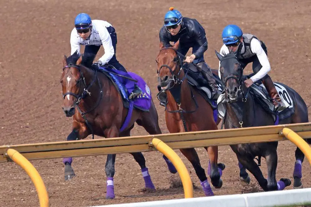 【画像・写真】【日本ダービー1週前追い】ドウデュース　抜群の切れ味、ラスト11秒2で1馬身半先着
