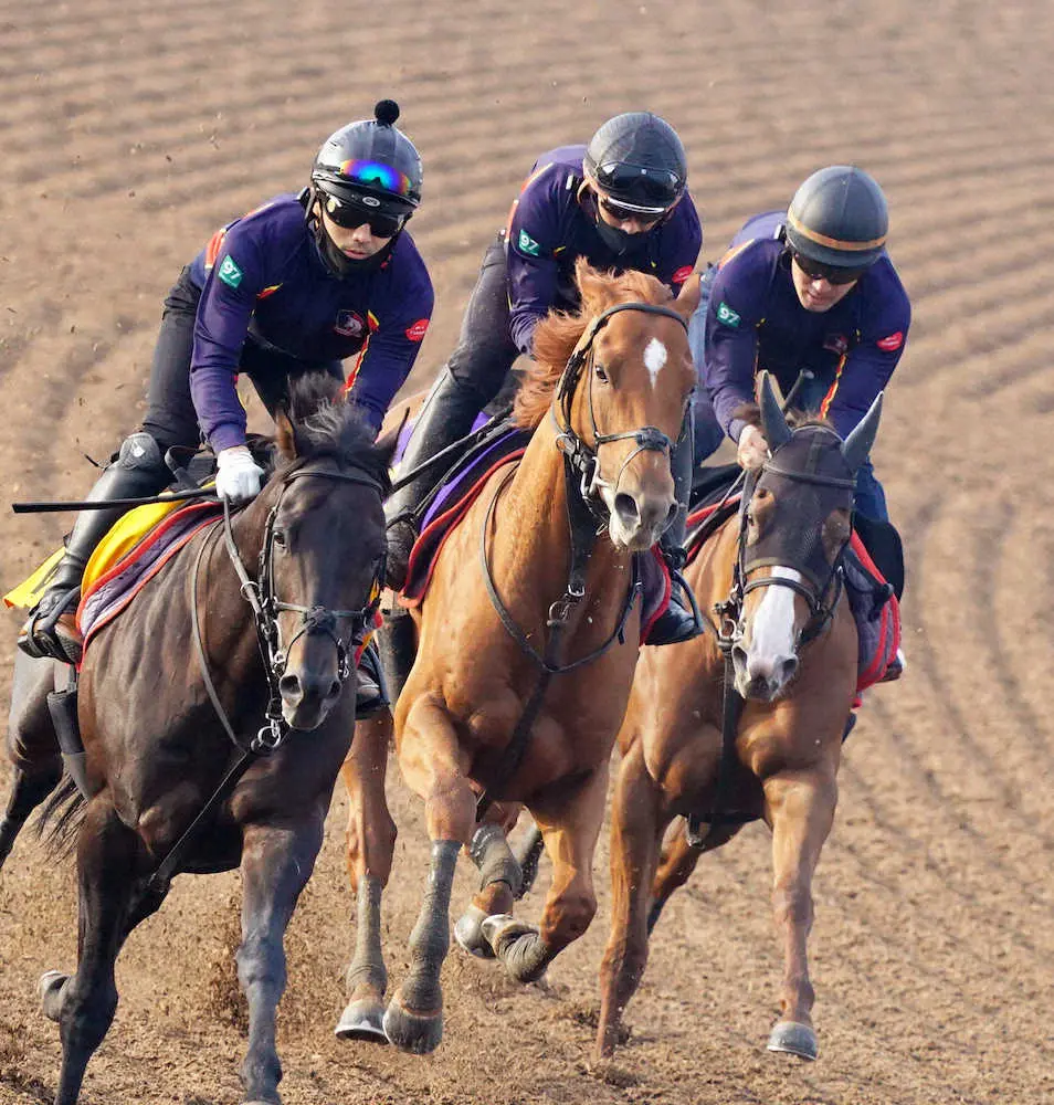 【画像・写真】【日本ダービー1週前追い】ジオグリフ　3頭併せで一気加速、2冠へさらなる進歩披露