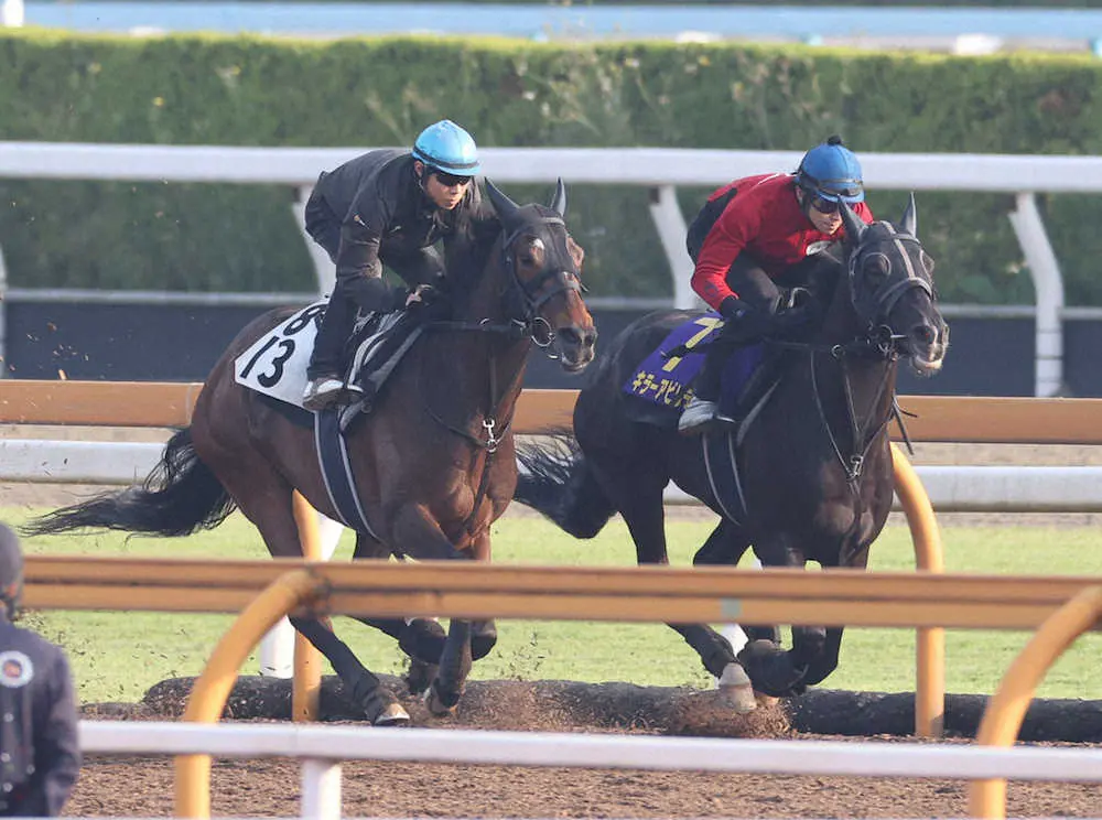 【画像・写真】【日本ダービー】キラーアビリティ　ラスト1F11秒7、斉藤崇師「一生懸命走っていました」