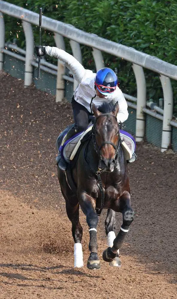 【画像・写真】【日本ダービー】デシエルト　申し分のない出来、安田隆師「ラストもいい形でした」