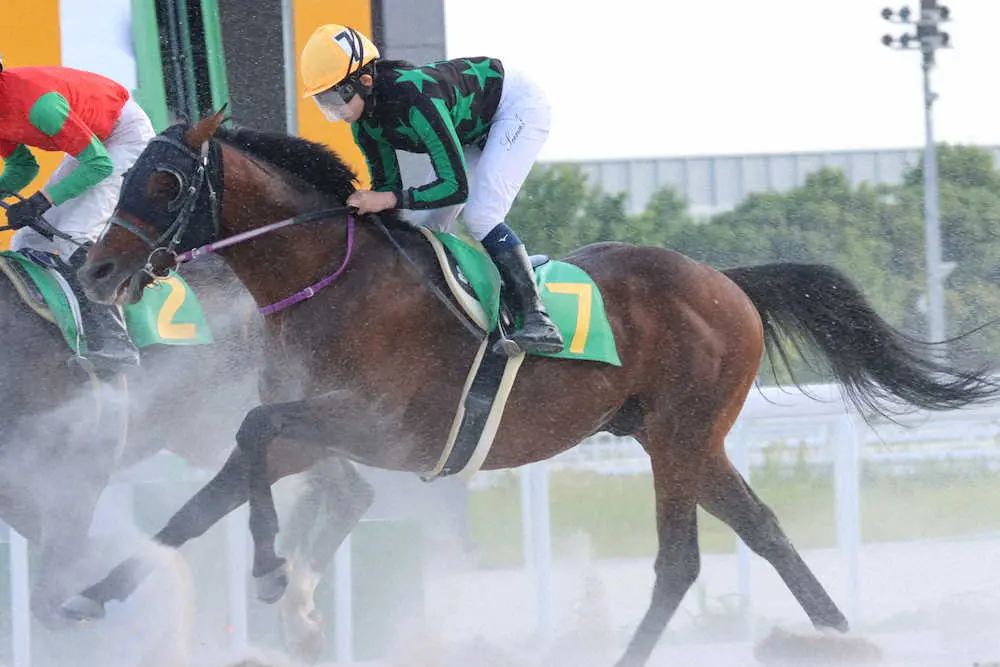 【画像・写真】今村聖奈　2日連続名古屋騎乗も残念6着「これから自分の引き出しにしたい」