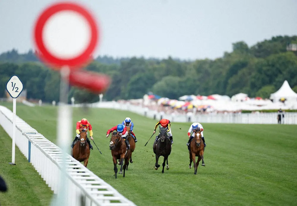 【画像・写真】英G1プリンスオブウェールズSで4着に敗れたシャフリヤール（右から2頭目）（ロイター）