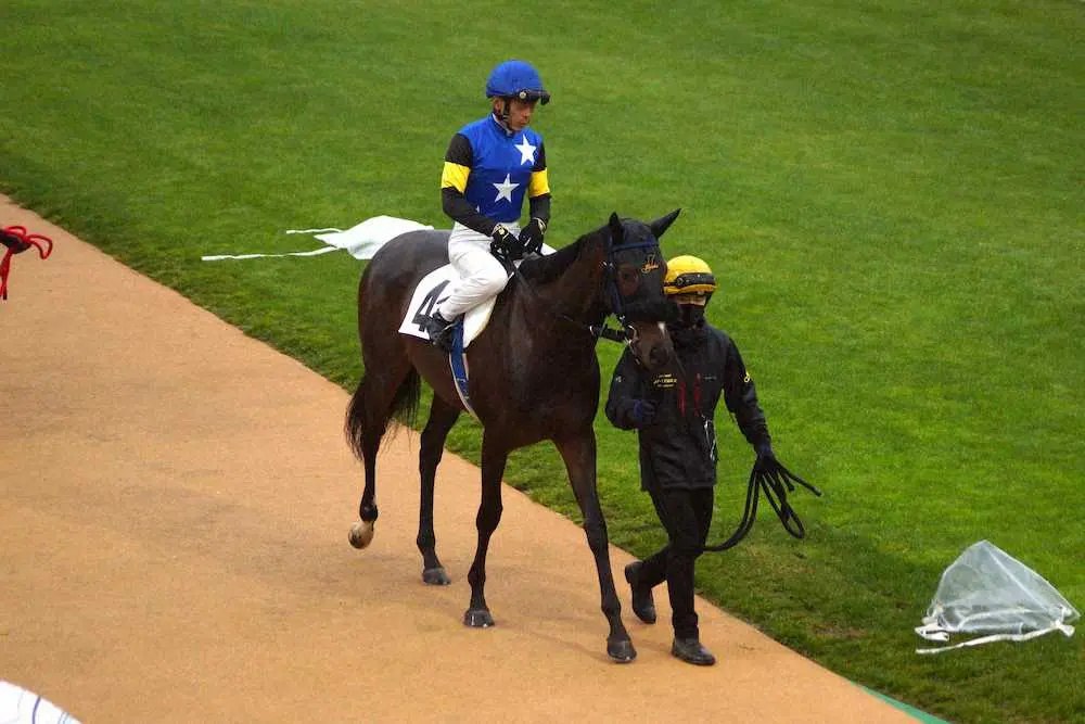 【画像・写真】パドックを歩くオマタセシマシタ（ホッカイドウ競馬提供）