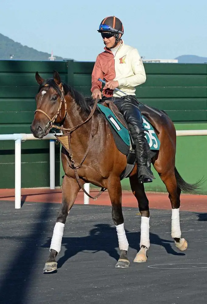 【画像・写真】フルコンタクト（撮影・千葉茂）