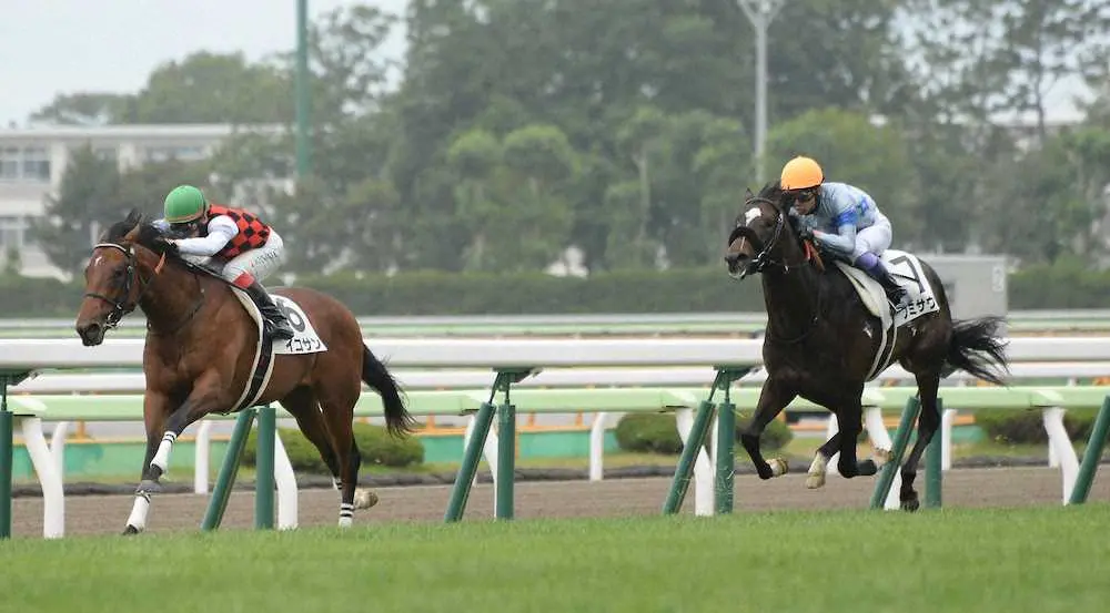 ＜函館5R・新馬戦＞ゴール前で差し切って勝ったフミサウンド（右）。池添のイコサン（左）は2着。　　　