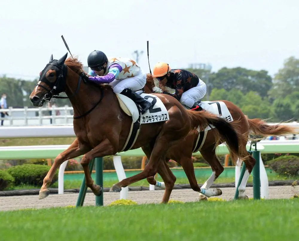 【画像・写真】【函館5R新馬】カワキタマックス逃げ切り　横山琉「勝ててよかった」