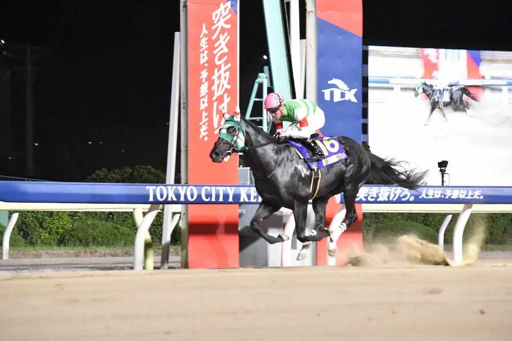 【画像・写真】【大井・優駿スプリント】プライルード　3歳スプリント王！本田重の好エスコート「自信あった」