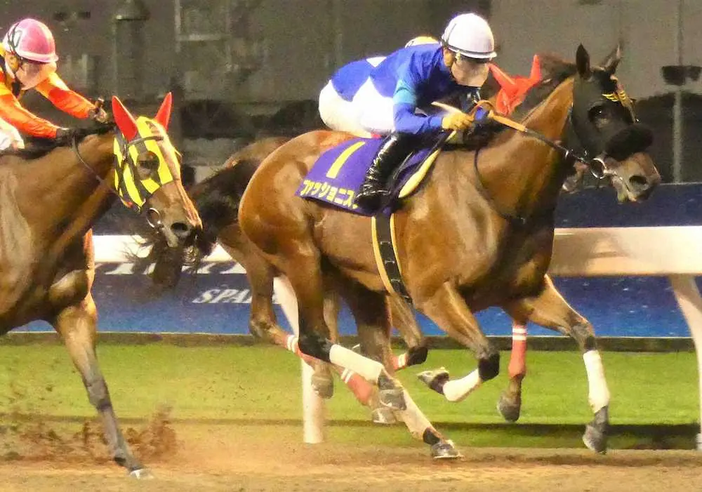 【画像・写真】【川崎・スパーキングレディーカップ】6日発走　過去10年データで必勝ポイント探る