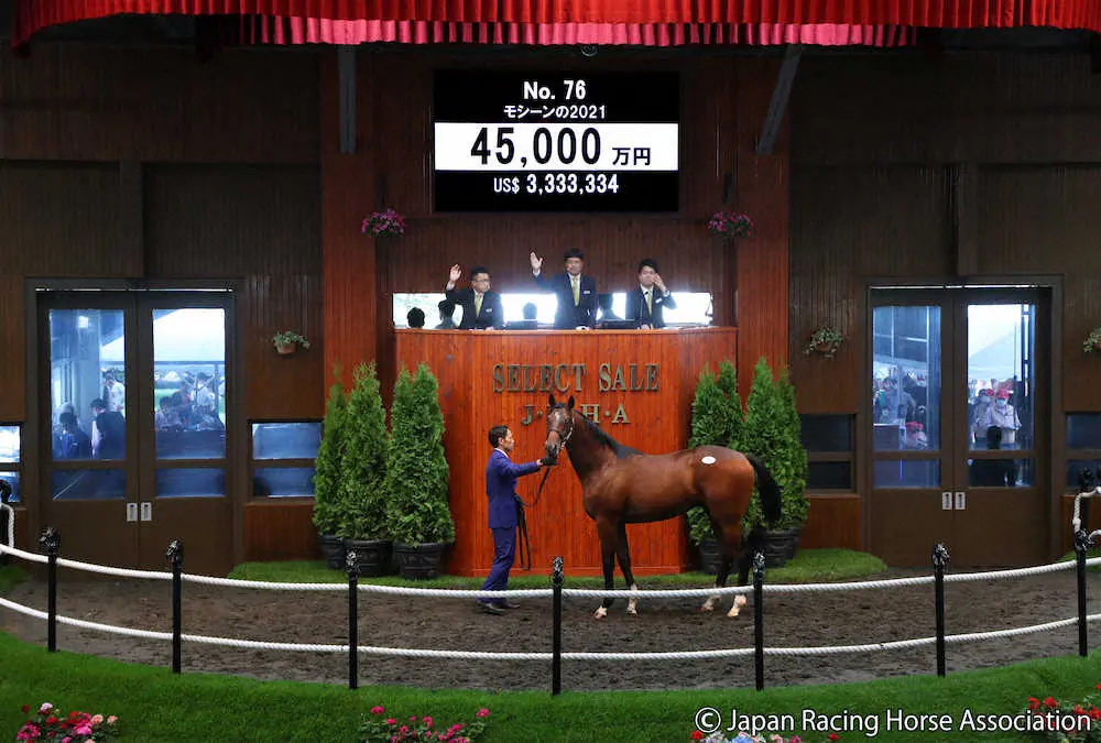 4億5000万円で落札された「モシーンの2021」（C）Japan　Racing　Horse　Association