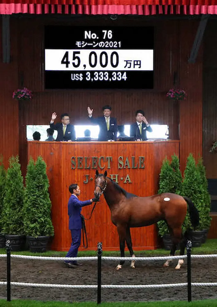 4億5000万円で落札されたモシーンの2021（C）Japan　Racing　Horse　Association