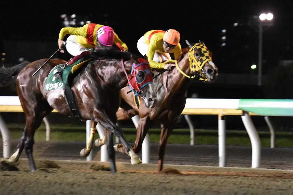 【画像・写真】【船橋・習志野きらっとスプリント】ギシギシ重賞初制覇！ゴール前差し切る首差勝利