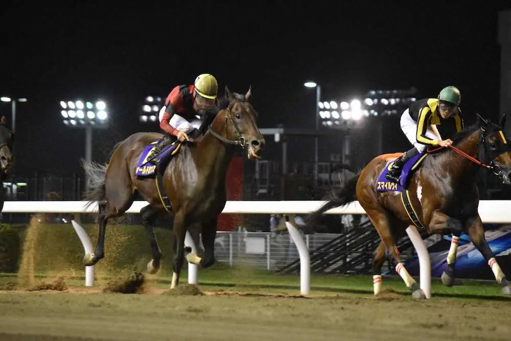 【画像・写真】スマイルウィ（右）を差し切ってスパーキングサマーCを制したフィールドセンス