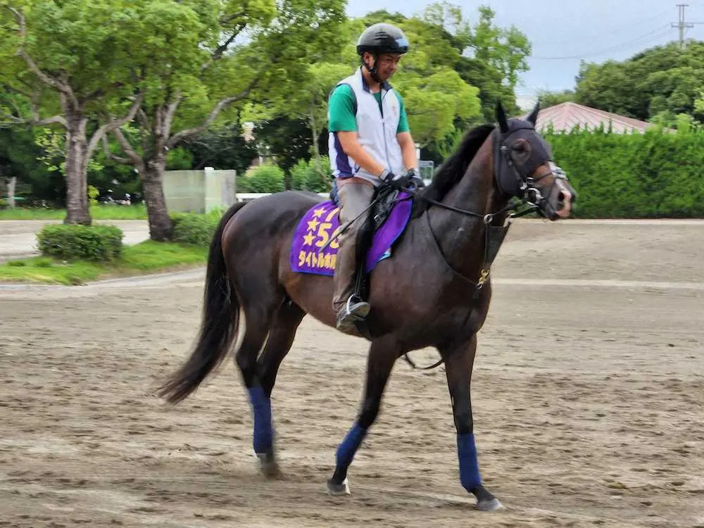 【画像・写真】タイトルホルダー