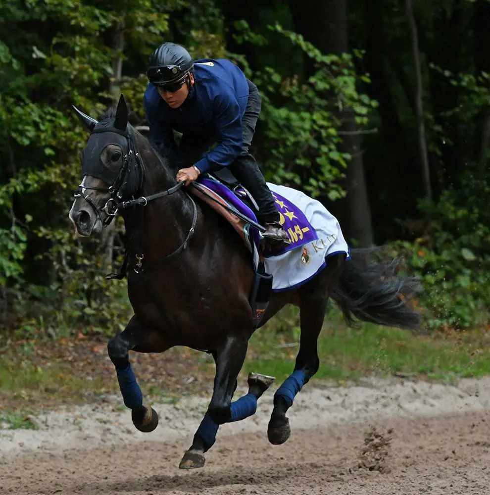 【画像・写真】【凱旋門賞】タイトルホルダー　坂路軽快駆け上がり、調整順調