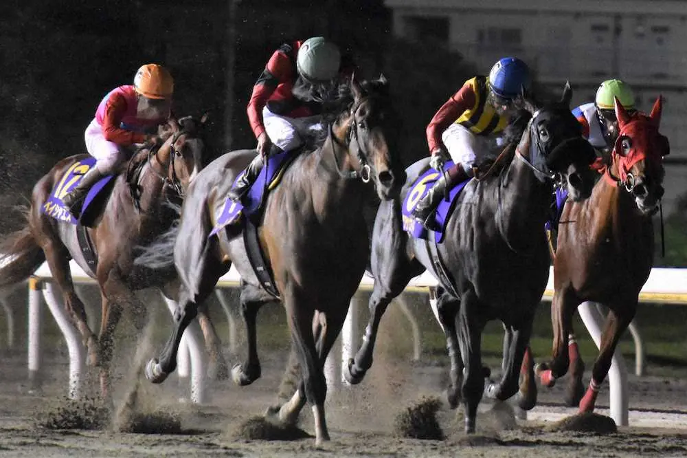 【画像・写真】日本テレビ盃を制したフィールドセンス（左から2頭目）