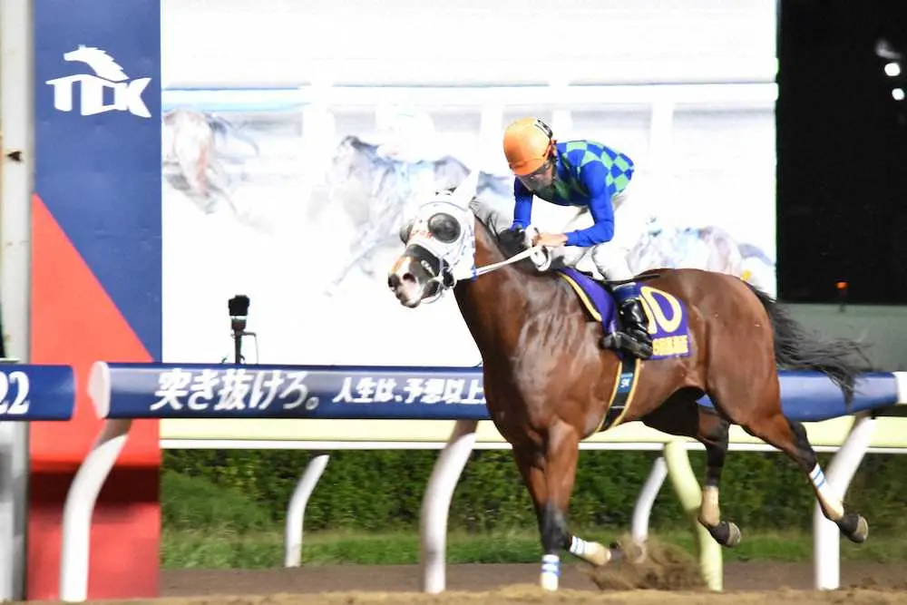 【画像・写真】逃げ切りで黒潮盃を制したエスポワールガイ