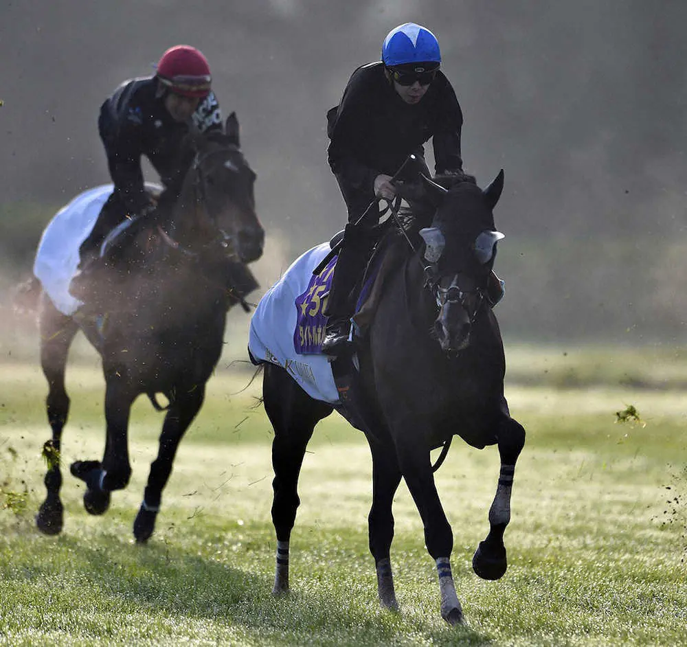 【画像・写真】【凱旋門賞】タイトルホルダー上昇！横山和も手応え「凄く良かったです」