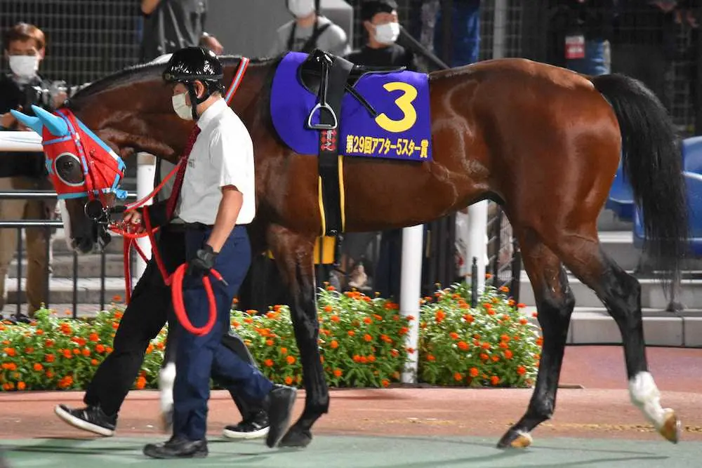 【画像・写真】逆襲を狙うギシギシ