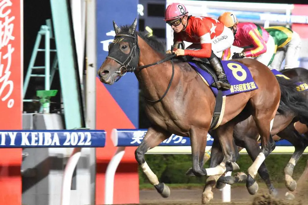 【画像・写真】直線大外から伸びて東京盃を制したレッドルゼル