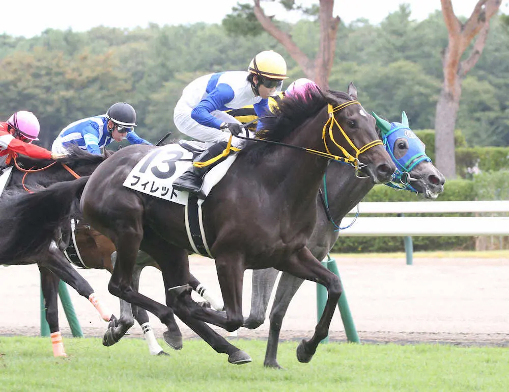 【画像・写真】新馬戦を制した横山琉鞍上のフィレット（撮影・西川祐介）