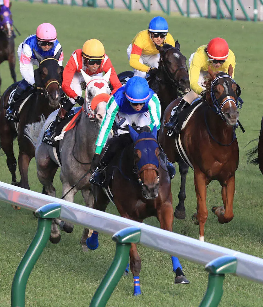 【画像・写真】飛翼特別を制した丸山騎乗のネレイド（中央）（撮影・西川祐介）