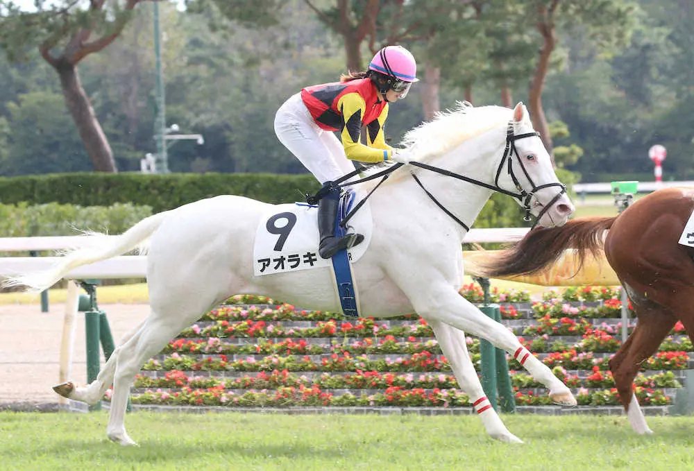 【画像・写真】今村聖奈、女性年間最多勝に王手！！　JRA通算42勝で19年藤田菜七子の43勝へ「1」