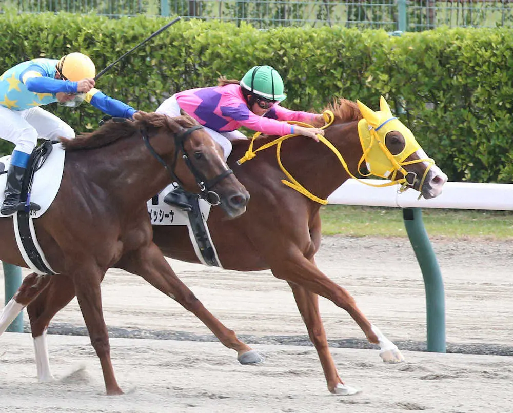 【画像・写真】今村聖奈「自信を持って乗れました」新潟3R制して女性年間最多勝に王手