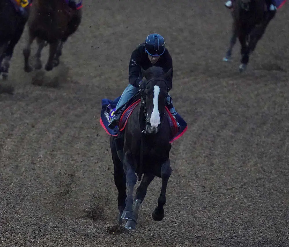 【画像・写真】併せて追い切るイクイノックス（撮影・西川祐介）