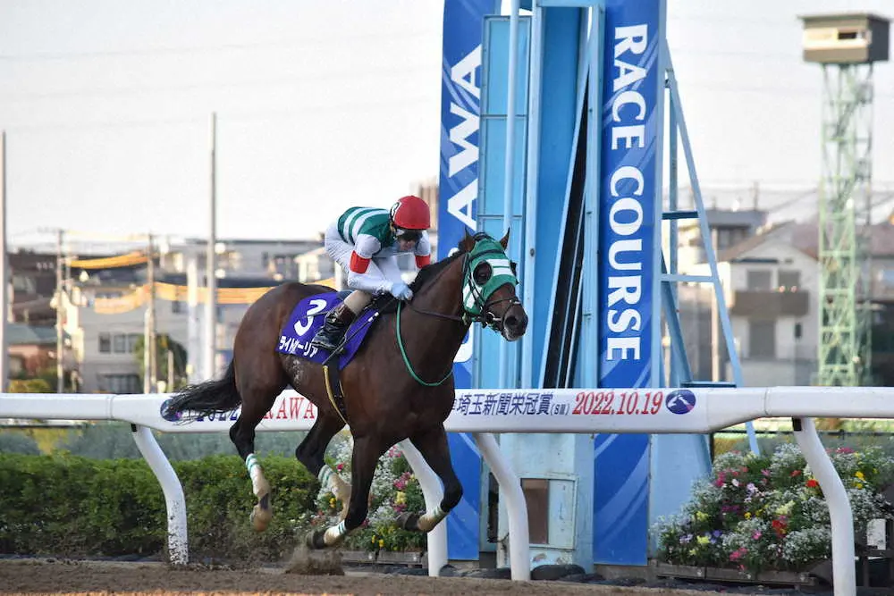 【画像・写真】【浦和・埼玉新聞栄冠賞】伏兵ライトウォーリアV！3馬身差逃げ切り