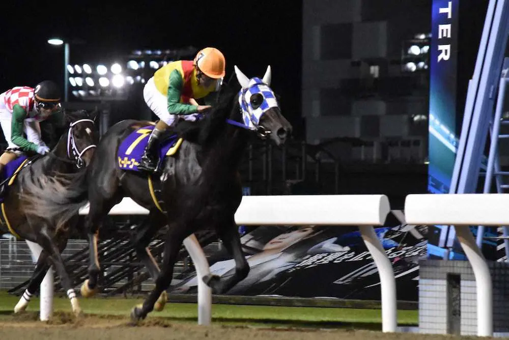 【画像・写真】4連勝で鎌倉記念を制したヒーローコール